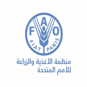 منظمة الأغذية والزراعة