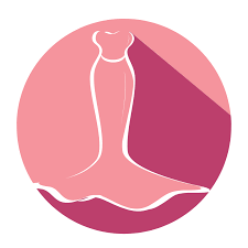 مؤسسة هلا شافي الدوسري للملابس