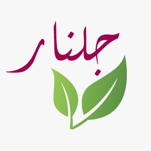 شركة جلنار الريم التجارية