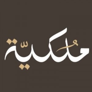 شركة ملكية للإستثمار